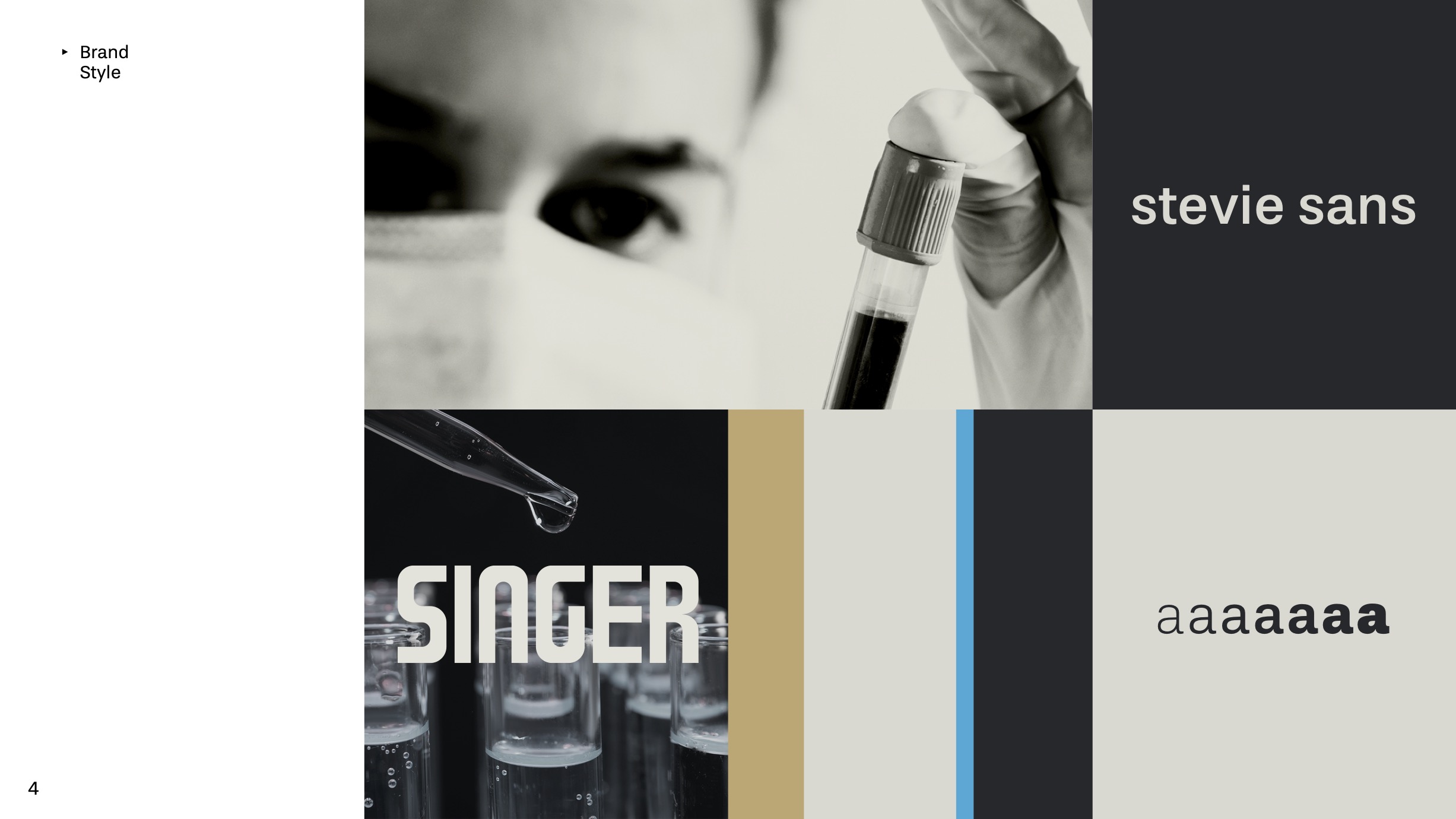 Brand Guidelines Panel 3