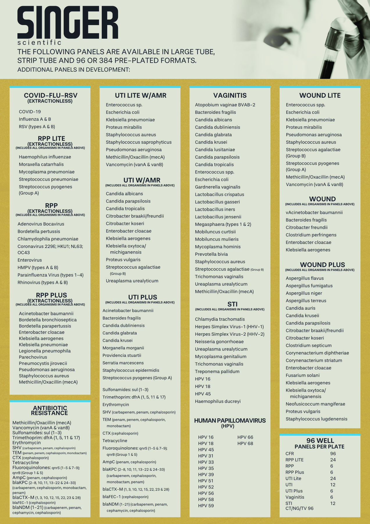 Brand Guidelines Main Panel